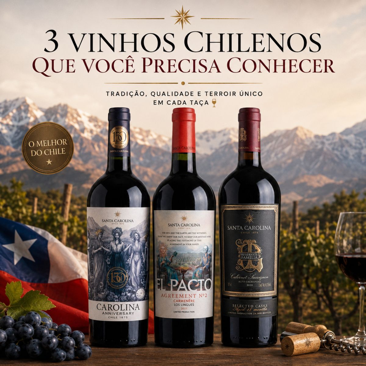 Três expressões únicas de uma das vinícolas mais tradicionais do Chile