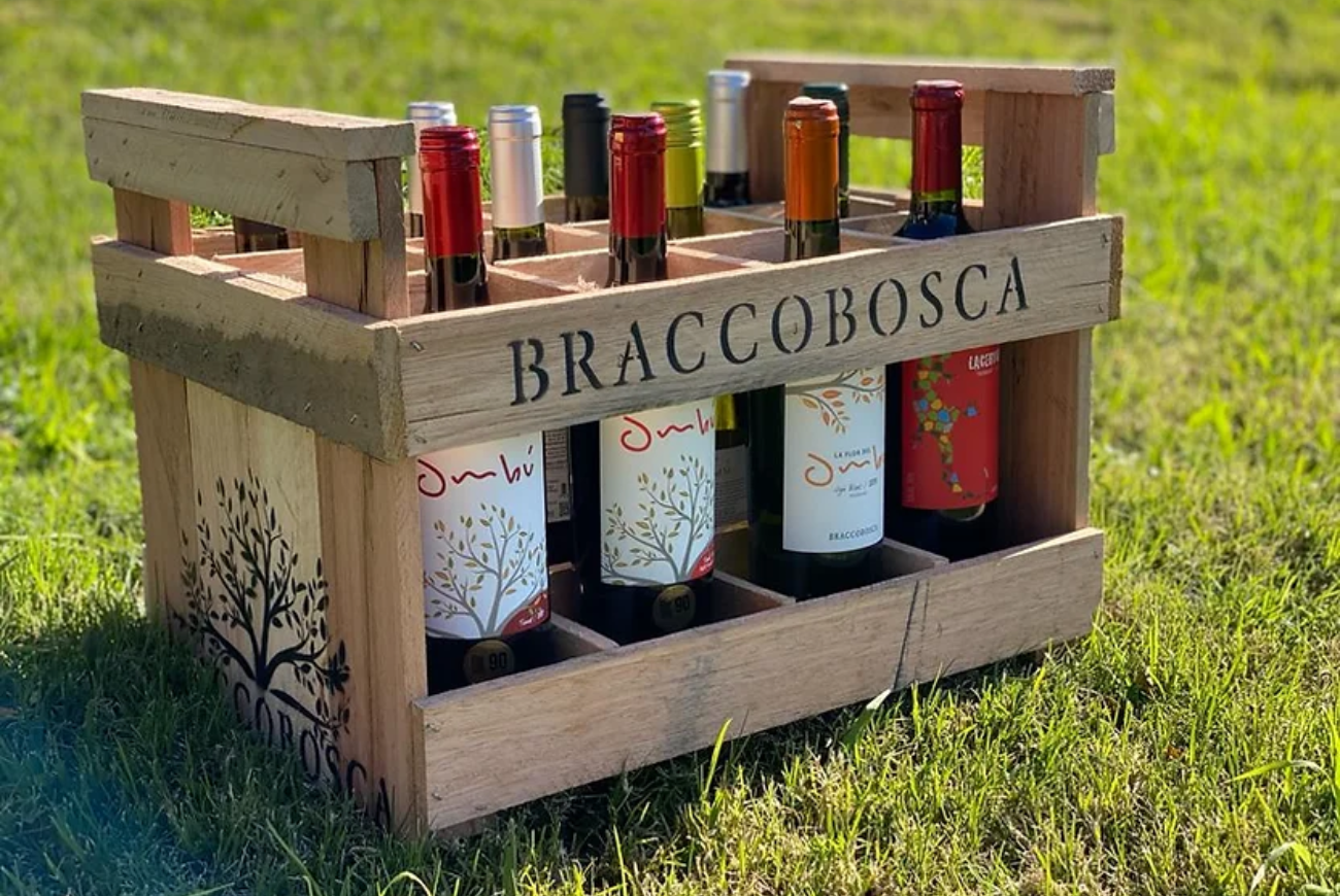 Vinícola uruguaia Bracco Bosca é eleita a “Vinícola do Ano” pelo Guia Descorchados 2025